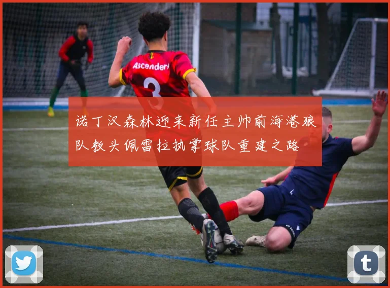 诺丁汉森林迎来新任主帅前海港狼队教头佩雷拉执掌球队重建之路